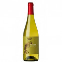 JUAN GIL MOSCATEL SECO 2021 (CAJA 6 BOTELLAS)
