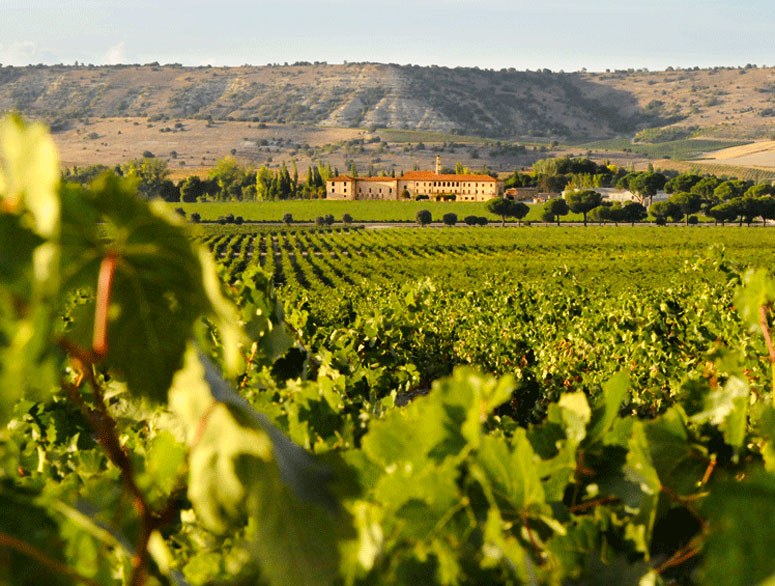 Abadía Retuerta, un placer para los sentidos