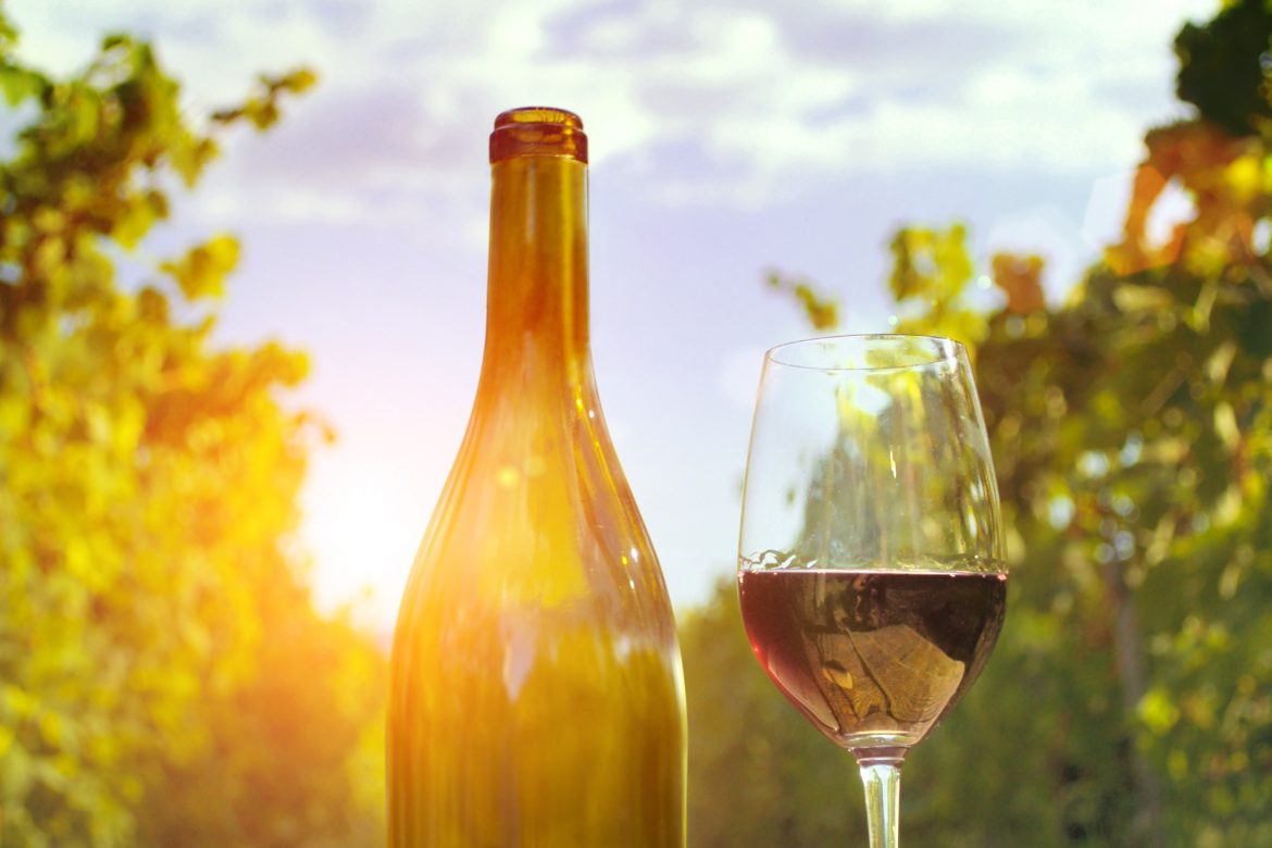 Variedades de uva, la clave para hacer los mejores vinos